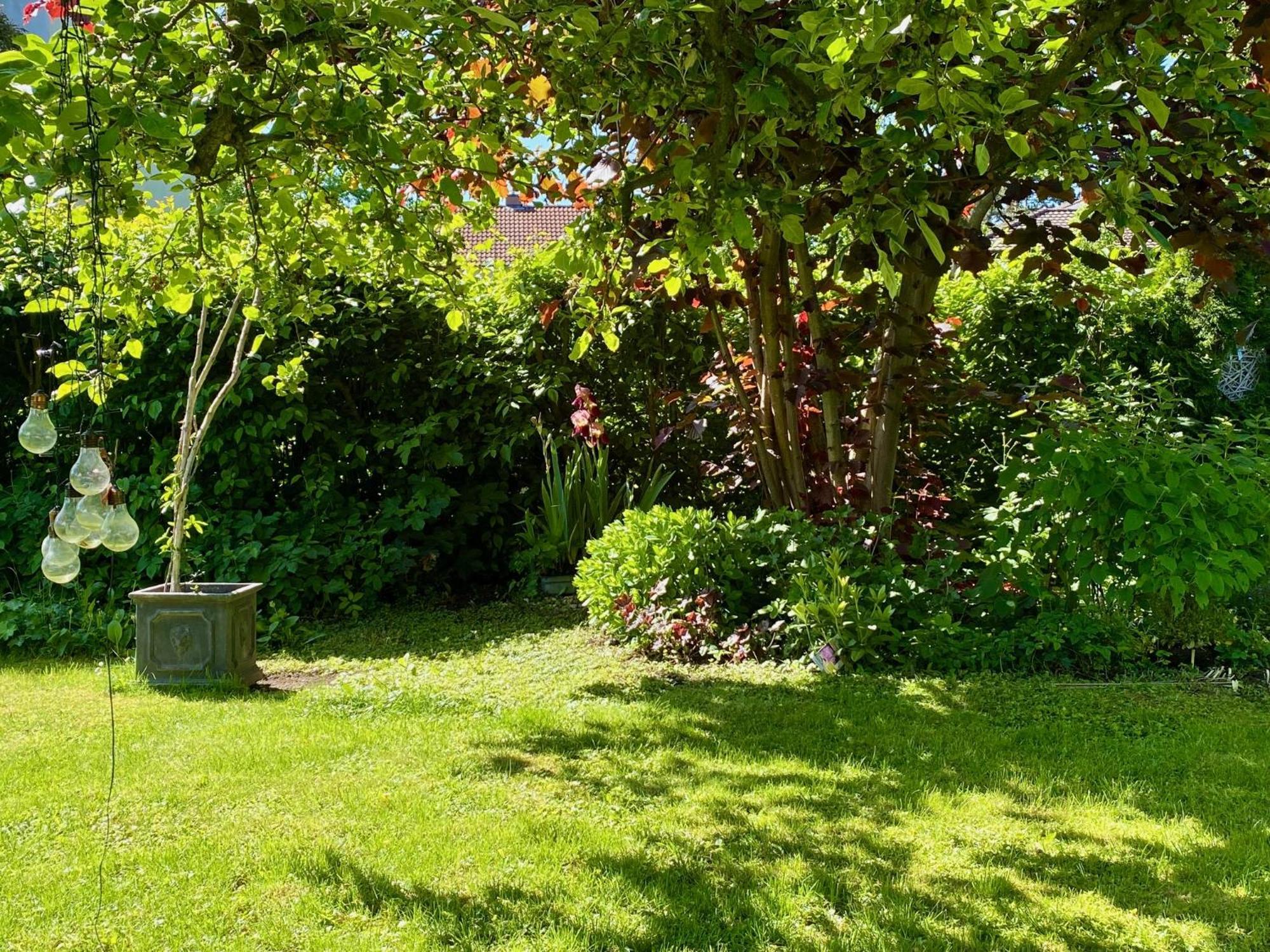 Auszeit-Ort Mit Wohlfuehl-Garantie Apartamento Neu-Ulm Exterior foto
